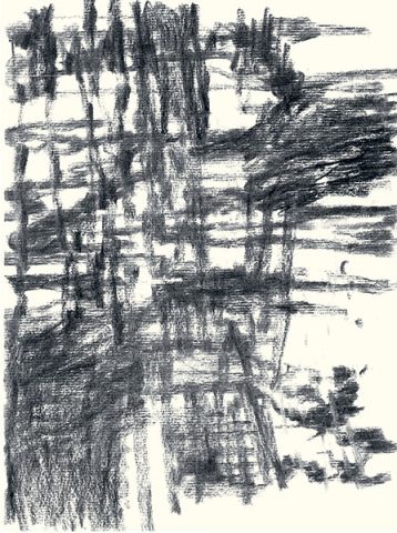 Félix Studinka - Chestnut Journal p.102, fusain sur papier, 29,7 x 21 cm