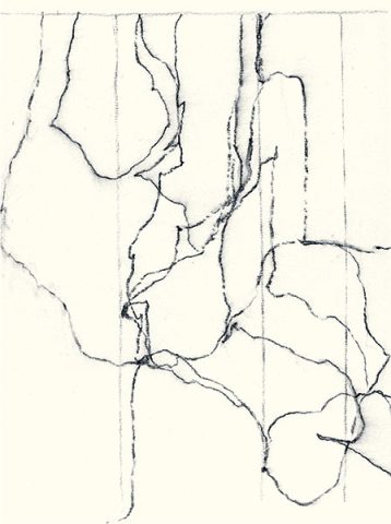 Félix Studinka - Chestnut Journal p.122, fusain sur papier, 29,7 x 21 cm