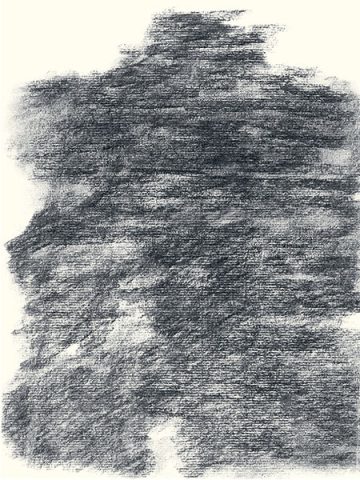 Félix Studinka - Chestnut Journal p.156, fusain sur papier, 29,7 x 21 cm