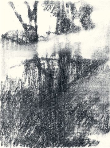 Félix Studinka - Chestnut Journal p.193, fusain sur papier, 29,7 x 21 cm