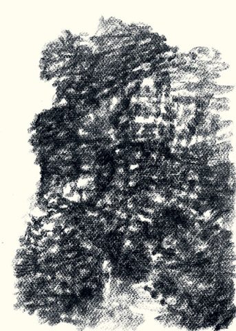 Félix Studinka - Chestnut Journal p.35, fusain sur papier, 29,7 x 21 cm