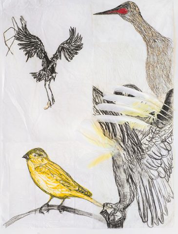 Arrangements 1 (détail). Technique mixte, papier de soie, crayon, pastel gras, paillettes, rouge à lèvres, plumes, épingles. 2018. 62X80cm