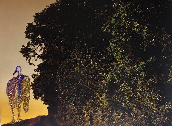 "Essais de métamorphose", 2020, technique mixte sur papier imprimé, 17X21 cm