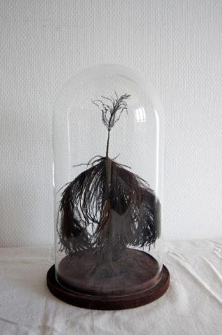 Séquence 4, 15x32cm